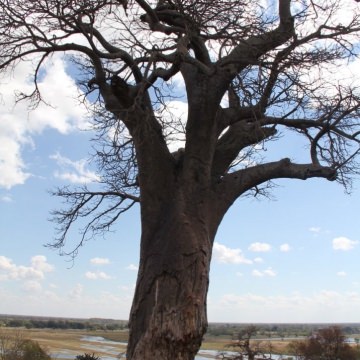 Botswana-and-Victoria-Falls-23