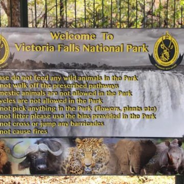 Botswana-and-Victoria-Falls-34