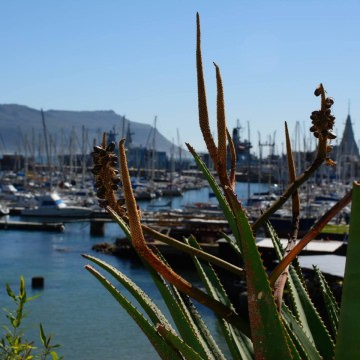 Cape-Town-Wine-Tours-7