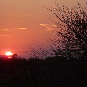 Kgalagadi-Transfrontier-Park-9