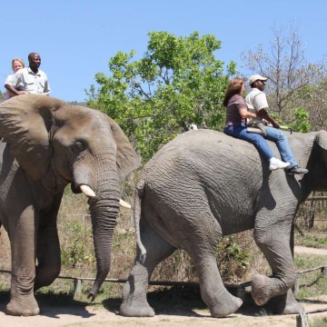 Kruger-Park-Tours-3