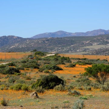 Namaqua-Wescoast-Tours-6