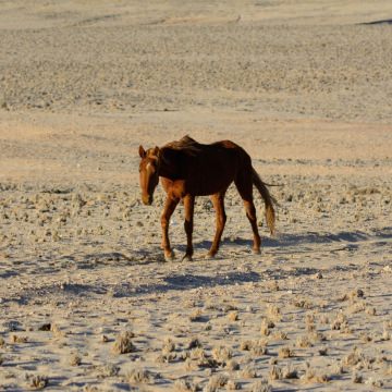Namibia-Tours-5